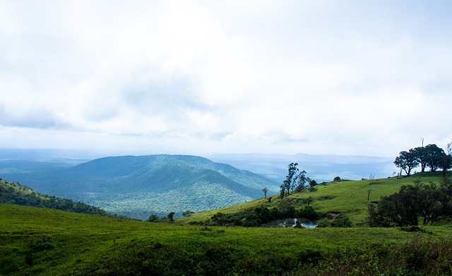 中场组织 中场组织
