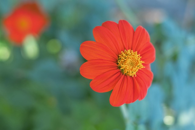 员表现的一 员表现的一