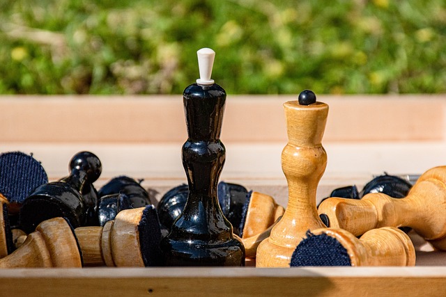 澳大利亚女 澳大利亚女