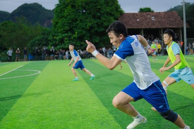 综合来看 综合来看